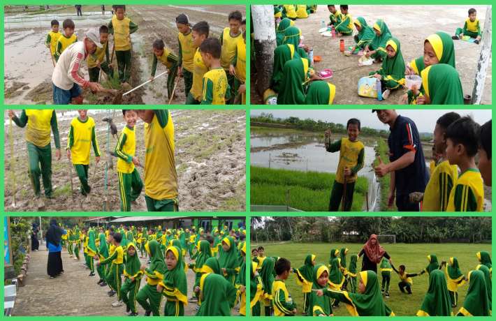 Keseruan Gropyok Tikus di Sawah
